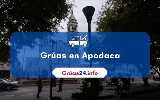 grúas económicas en Apodaca