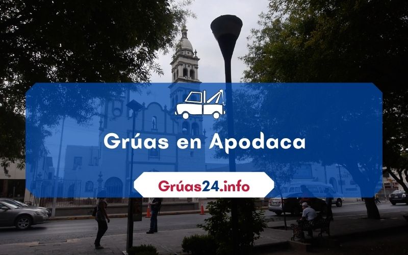 grúas económicas en Apodaca