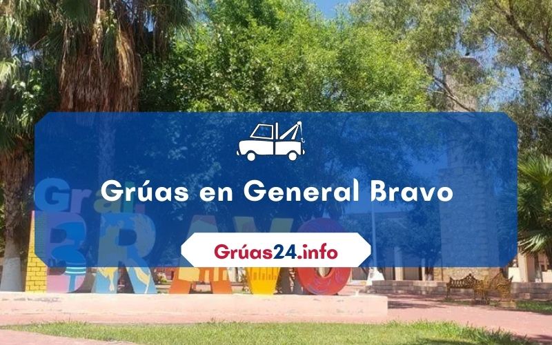 grúas económicas en General Bravo