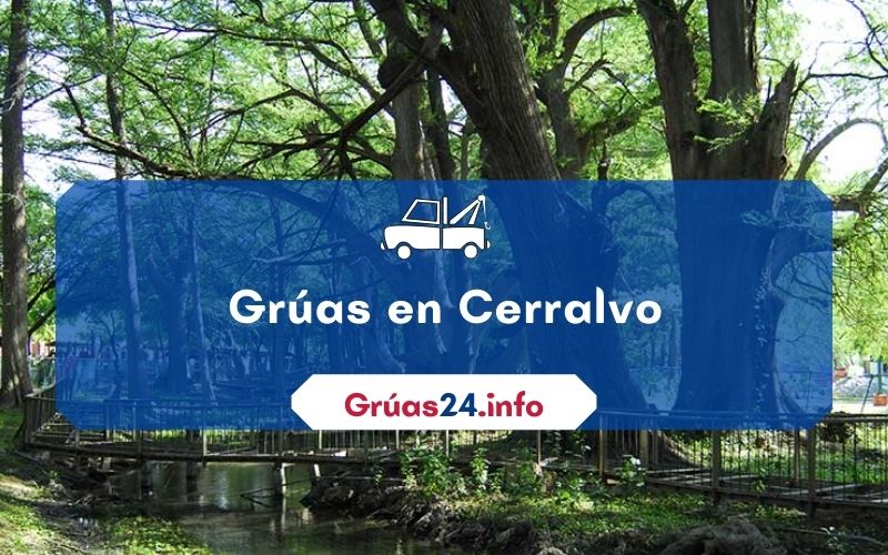 grúas económicas en Cerralvo