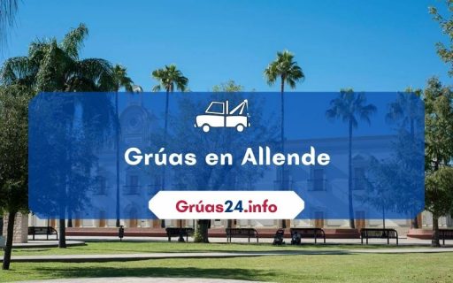 grúas económicas en Allende