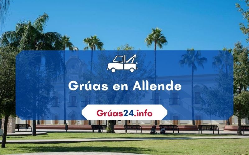 grúas económicas en Allende