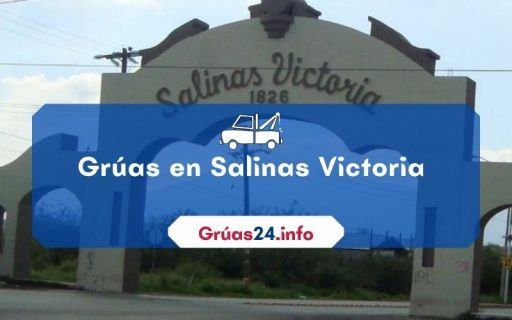 grúas económicas en Salinas victoria